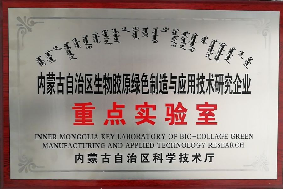 內蒙古自治區(qū)企業(yè)重點實驗室